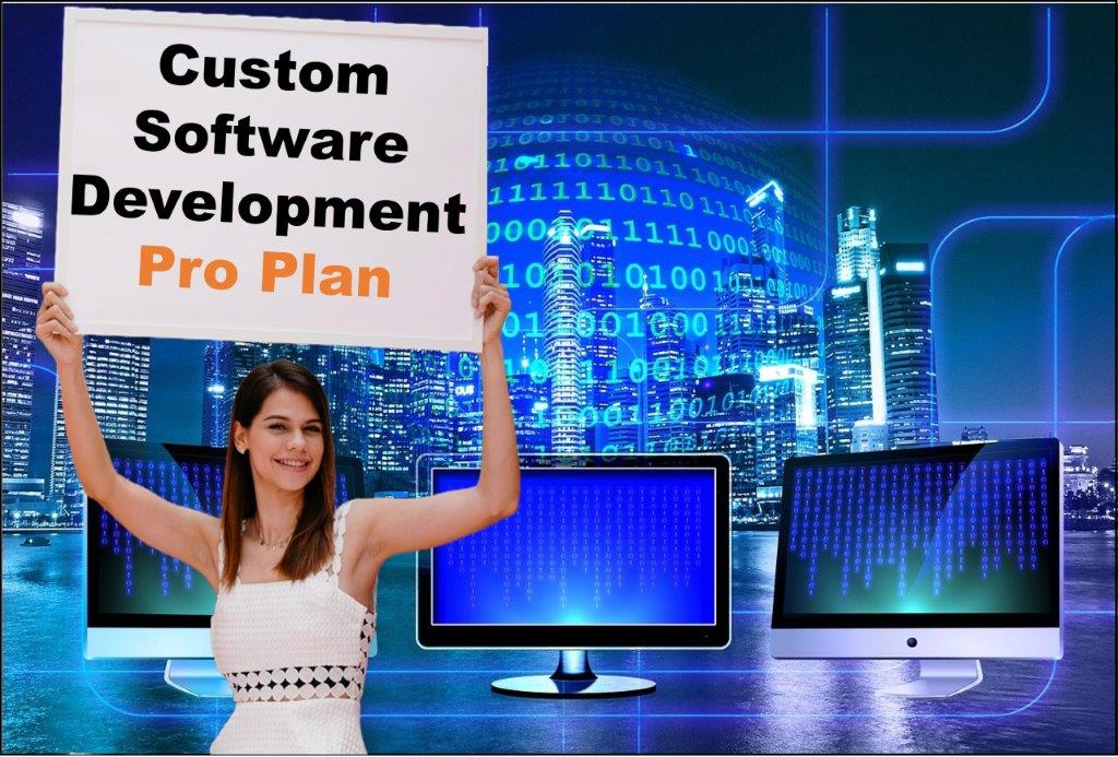 custom software development agency in Topeka Kansas