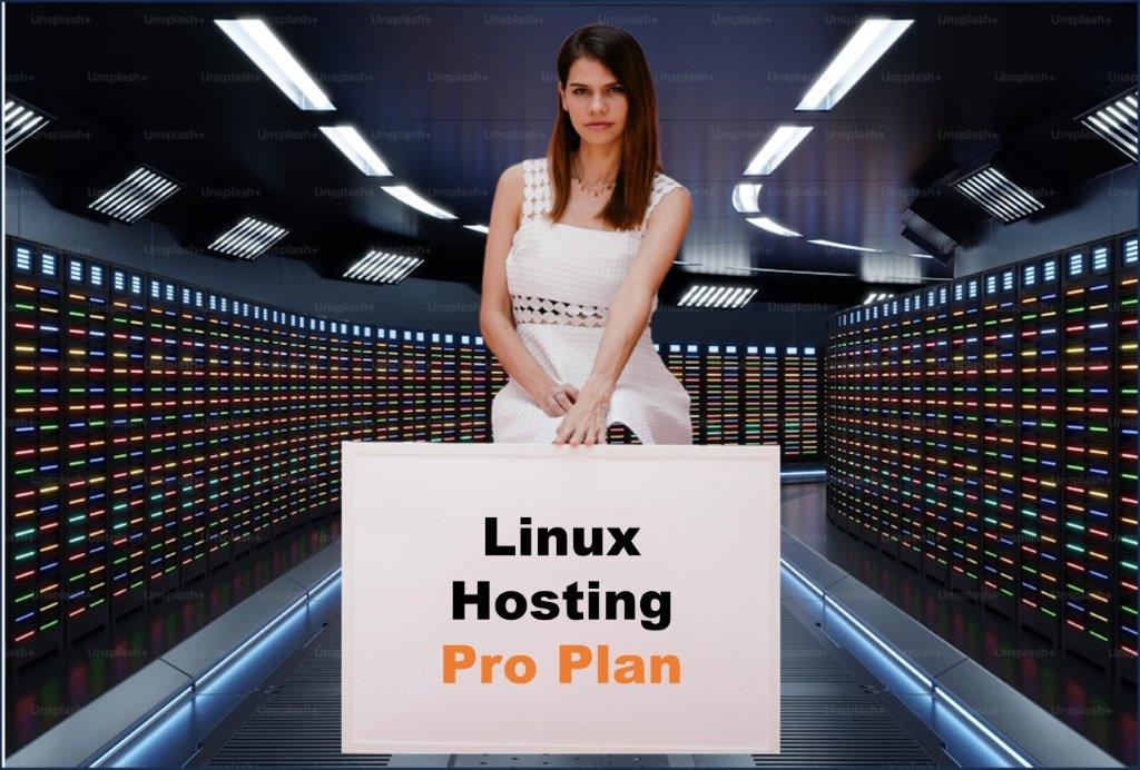 linux hosting windows hosting provider in Topeka Kansas
