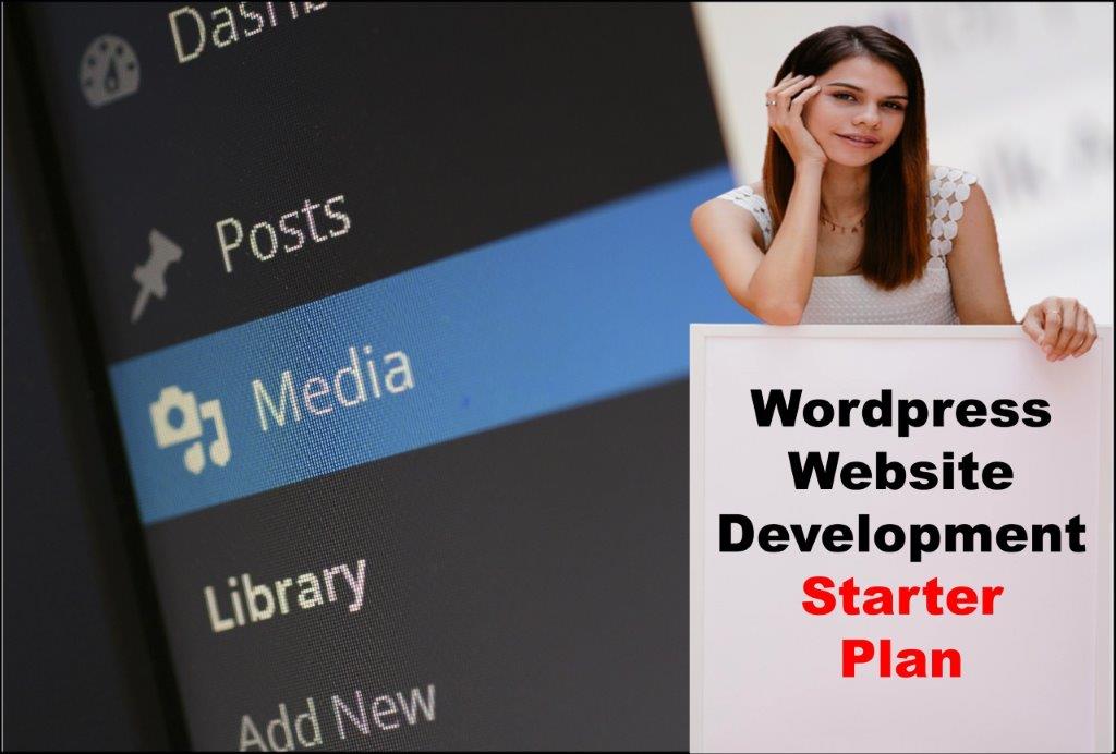 Wordpress Website Development in Topeka Kansas